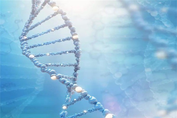 问基因基因检测